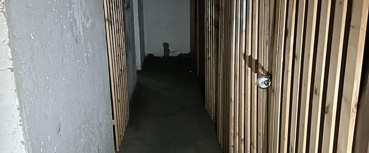 Wohnung mit Gartenanteil in Apolda – Katharinenweg 18 - Photo 1