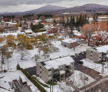 2 CH - 1 SDB - Rougemont - $1,450 /mo - Photo 3