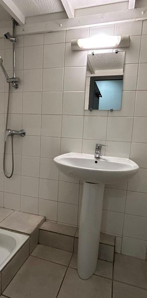 Location Appartement 1 pièce 17m² GRENOBLE 38100 - Photo 1