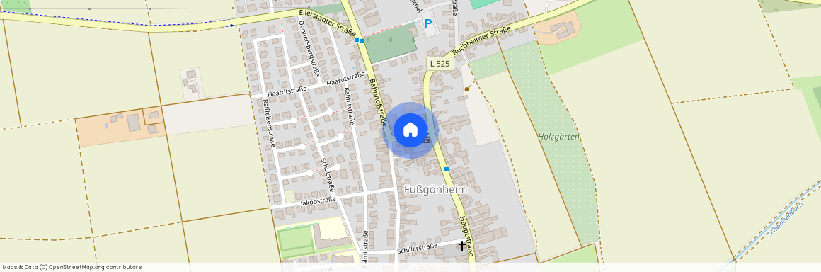 67136 Rheinland-Pfalz - Fußgönheim