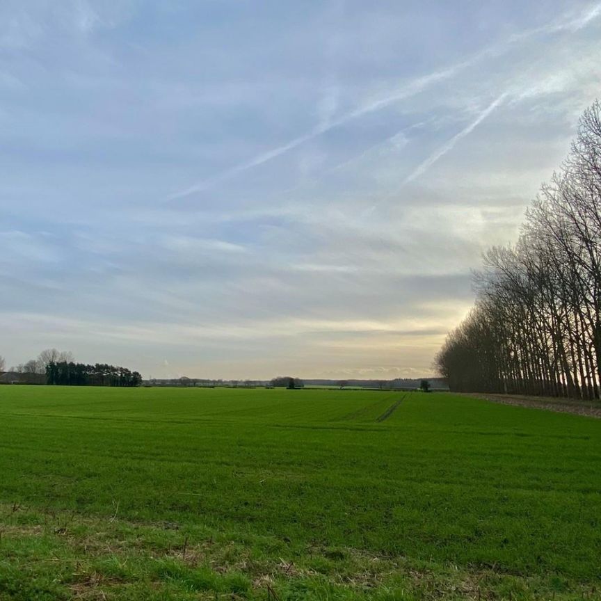 5 bedroom House To Let - Photo 1