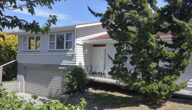 Newly renovated 1960's style home. - Photo 1