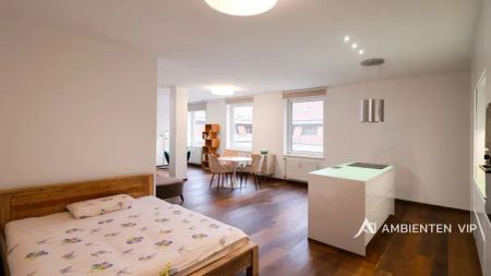 Pronájem krásného nadstandardně vybaveného bytu o dispozici 1+kk v centru města Brna na ulici Kobližná - Fotografie 3