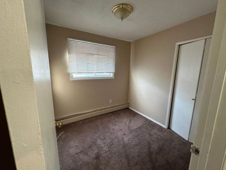 Beautiful Two Bedroom Basement Suite! - Photo 5