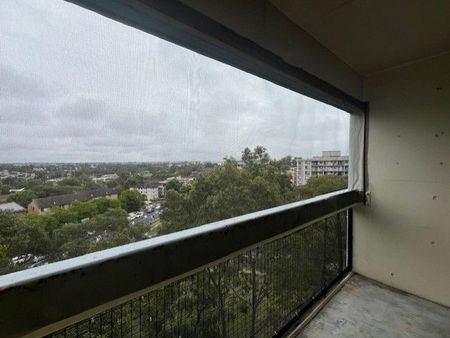 Parramatta - Photo 2