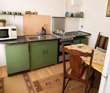 Apartament cu o cameră Lipovei - Fotografie 1