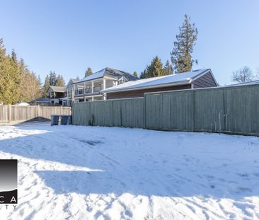 15167 108 Avenue, Surrey (Basement) - Photo 6