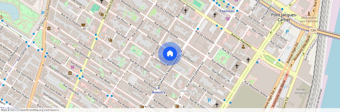 Nouveauté, 1566 Rue Plessis, app. 2, Montréal (Ville-Marie), H2L2X5