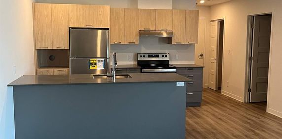 1 CH - 1 SDB - Terrebonne - $1,725 /mo - Photo 2