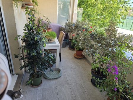 Location Appartement 2 pièces 70m² VALLAURIS 06220 - Photo 4