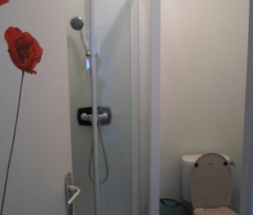 Location Appartement 1 pièce 18m² ROUEN 76000 - Photo 6