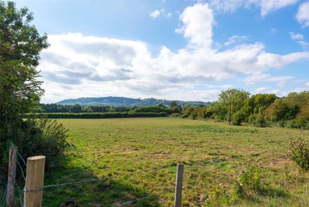 4 bedroom semi-detached house to rent - Photo 2