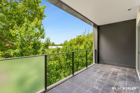 28/16 New South Wales Crescent, Forrest ACT 2603 - Apartment For Rent | Domain - Photo 2