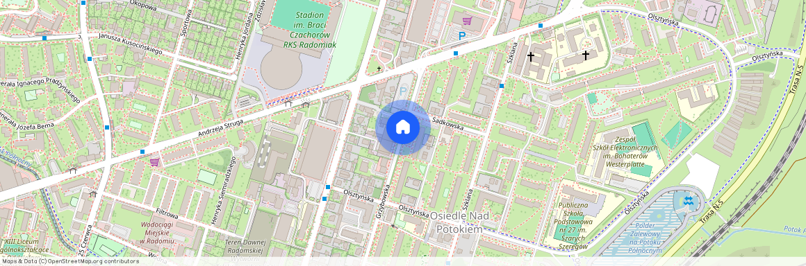 ul. Grzybowska, Osiedle Nad Potokiem, Radom, mazowieckie