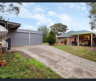 $580/w Spacious 3 Bed Family Home in Great Location - Photo 6