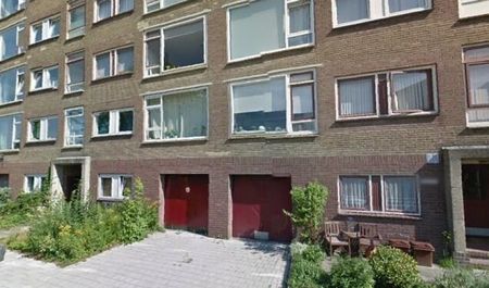 Looplantsoen 0ong, 3523 Utrecht, Nederland - Foto 3