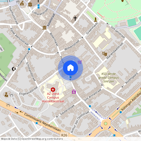 Hasseltsestraat 20 / 2, 3290 Diest