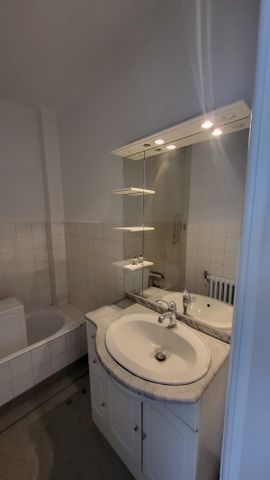 Location Appartement 2 pièces 46m² ANNECY 74000 - Photo 3