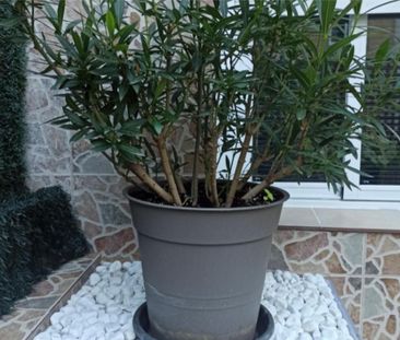 Piso de alquiler en Calle de Valverde, 12, Universidad - Malasaña - Photo 5