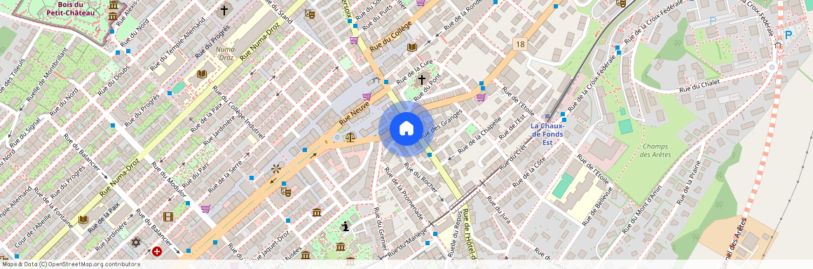 2300, La Chaux-de-Fonds, Hôtel de ville 56, 1