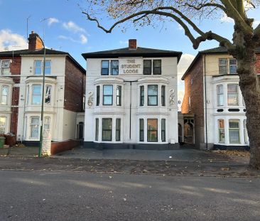 Deluxe Studio - Photo 3