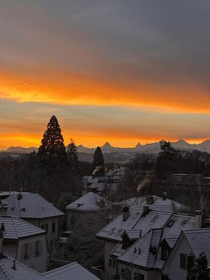 21/2-ROOM LOFT APARTMENT IN BERN – OBSTBERG/SCHOSSHALDE, FURNISHED, TEMPORARY - Photo 1