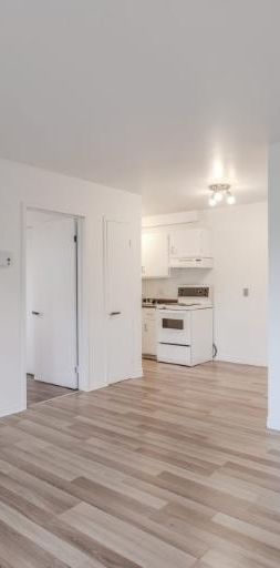 Appartement 3 ½ à louer Sainte-Foy / Sillery février 2026 - Photo 1