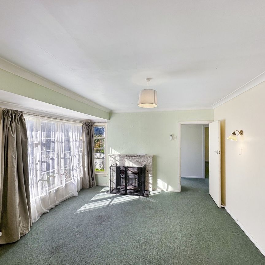 Cute 2 bed on Bledisloe - Photo 1