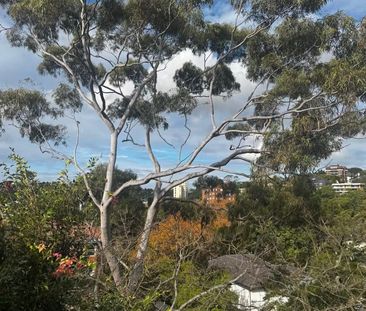 Double Bay - Photo 6