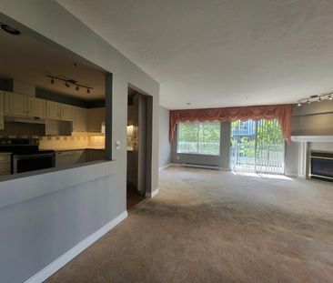 Spacious Two Bed Condo in Langley with Parking and Storage - Photo 6