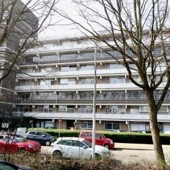 De Brink 0ong, 2553 Den Haag, Nederland - Photo 1