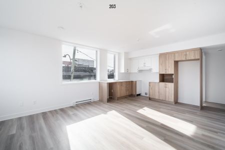 Condo for rent, Montréal (Rosemont/La Petite-Patrie) - Photo 4