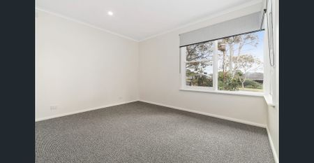 Ready When You Are! - Photo 3