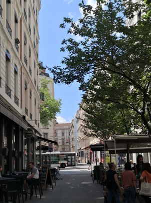 Grand appartement T2 de 78m² à Lyon 1 - Photo 1