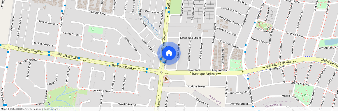 59 Cornus Crescent, NSW 2769, The Ponds