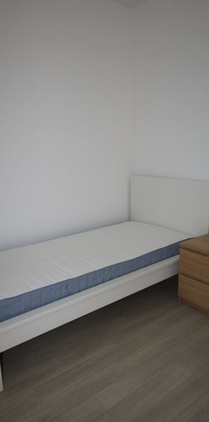 Studio de 18.32m², rue Pharaon de Winter – Vieux Lille réf 753-007 - Photo 1