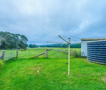 Peace & Quiet - Photo 2