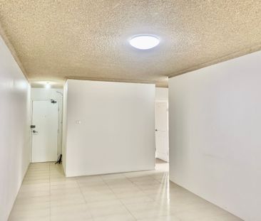 Fully Renovated Unit - Photo 3