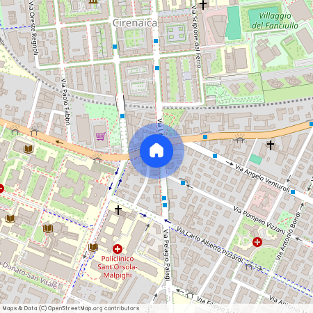 Via Pelagio Palagi, Bologna, Emilia-Romagna 40138