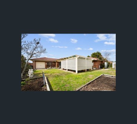 331 Shirleen Crescent, Lavington, NSW 2641 - Photo 4