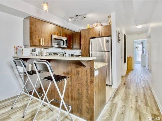 Appartement à louer - Montréal (Ville-Marie) (Centre) - Photo 1