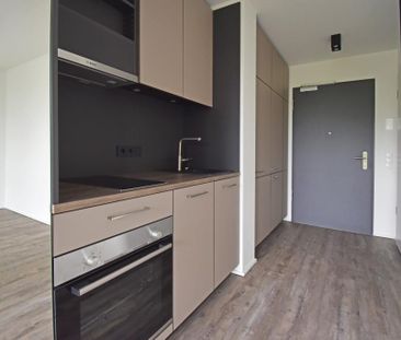 Conger EG.010 - Photo 4