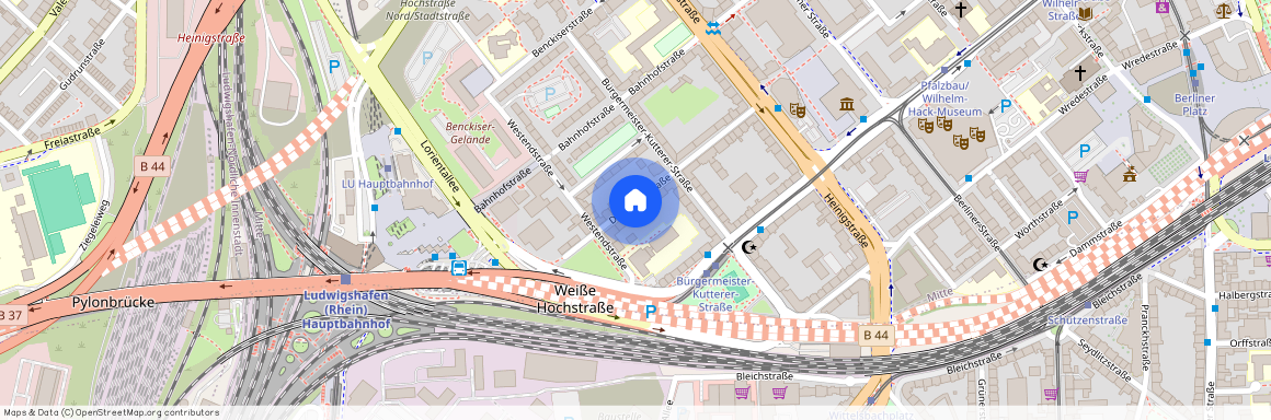 Dörrhorststraße 23, 67059 Ludwigshafen