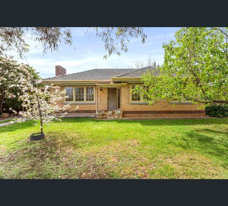 1 Crowder St, Lower Mitcham, SA 5062 - Photo 1