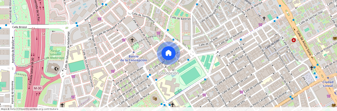 Calle Virgen del Castañar, 19, 28027 Madrid, Spain