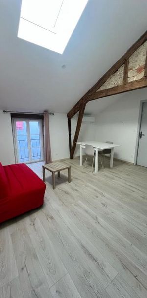 Location Appartement 2 pièces Meublé 35m² AIRE SUR L ADOUR 40800 - Photo 1