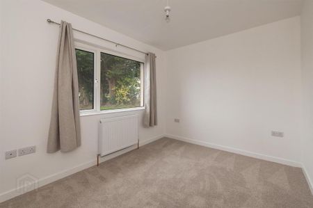 21 Scaddy Road, Downpatrick, BT30 9BW - Photo 4