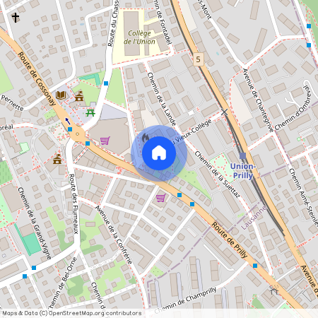 Ch. du Vieux-Collège 6, 1008, Prilly