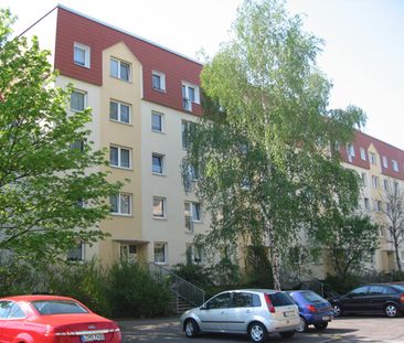 Nichts für Sonnenmuffel – Südbalkon genießen - Photo 1