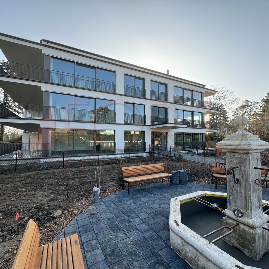 Superbe appartement neuf de 3 pièces en attique avec terrasse à Vessy - Foto 1